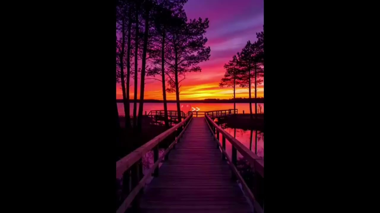 If land🐊🦊dedication is only till farmed&weeds🐗🐖🐷🐽harm yields;farmers must adopt diversified farming