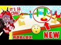 Building The MOST AMAZING Playground In A Build Challenge In Adopt Me! (Roblox)