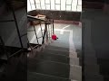 RC Car गिर गई Stairs से 😱 Unexpected Crash #experimnent #viral shorts RC Car #shorts #experiment