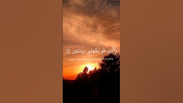 قرآن كريم #راحة نفسيّة #اسلام_صبحي #سورة_الشعراء
