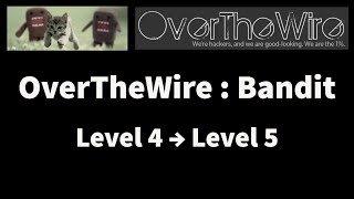 OverTheWire : Bandit Level 4 → Level 5