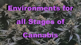 Ideal Environment for Cannabis Indoors (Clone, Veg, Flower, Drying)
