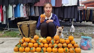 harvesting, wild fruit, bringing to market, selling, my daily life | Chuc thi Duong
