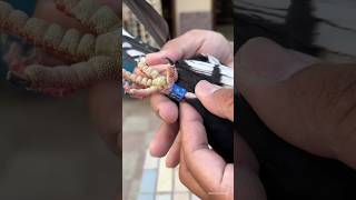 Pigeon Foot Ring = Hidden Identity?! 😳