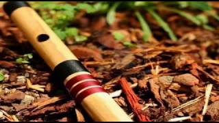 Sabyan Ya Habibal Qalbi cover flute