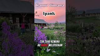Ipank  Kamu Dimana  shorts shortfeed 