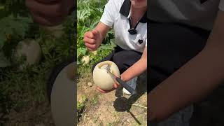 Agriculture Village Fresh Fruit #Viral #Fruit #Shorts #1061