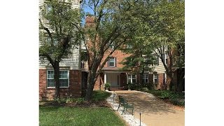12929 Portulaca DR 311, St Louis, MO 63146 12929 Portulaca DR 311, St Louis, MO 63146