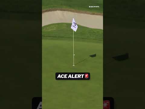 MAX GREYSERMAN ACE! #shorts