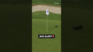 MAX GREYSERMAN ACE! #shorts