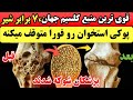 کشف شوکه کننده دانشمندان این دانه پوکی استخوان رو فورا متوقف میکنه قویترین منبع کلسیم ۷ برابرشیر 
