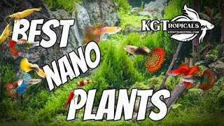 Don't Buy Plants YET, Watch This First!