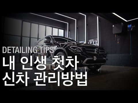 20살자동차보험료