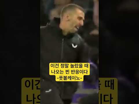 [해외축구]  황희찬의 골을 본 울버햄튼 오닐 감독의 찐 반응 ㅎㄷㄷ