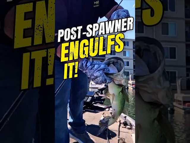 Post-Spawner Engulfs It