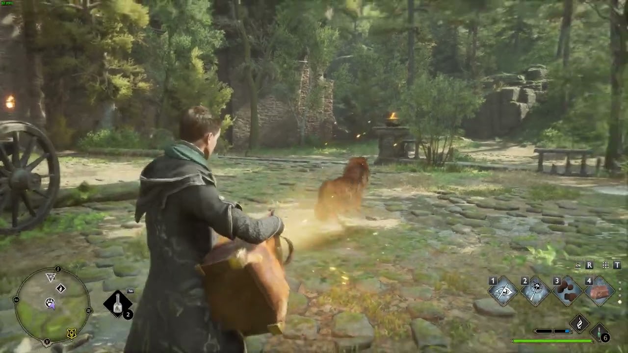 Hogwarts Legacy - Where to find "Kneazle" for Kneazle Fur