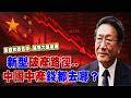 愈自救跌愈深..越努力越破產！錢都去哪？中國中產新型破產路徑 @democratictaiwanchannel