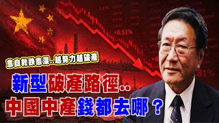 愈自救跌愈深..越努力越破產！錢都去哪？中國中產新型破產路徑 @democratictaiwanchannel