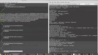 Bitcoin Regtest, Manual Transaction 4 News