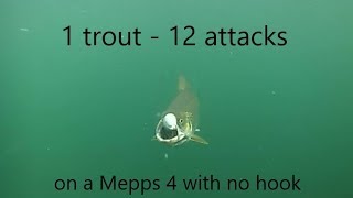 1 trout 12 attacks