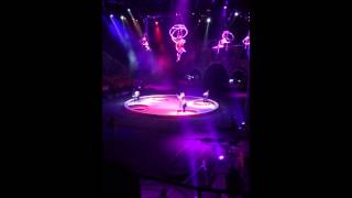 Ringling Brothers - Built To Amaze Circus - Horses (2)