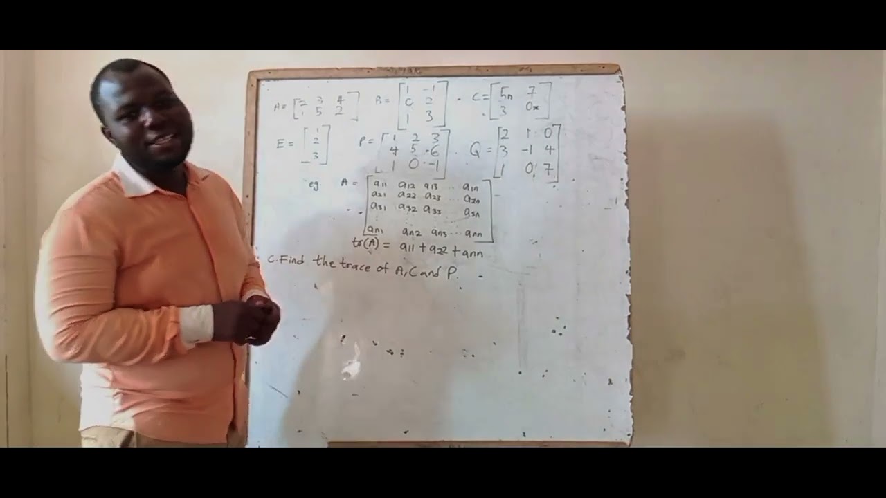 Linear Algebra Lecture 1