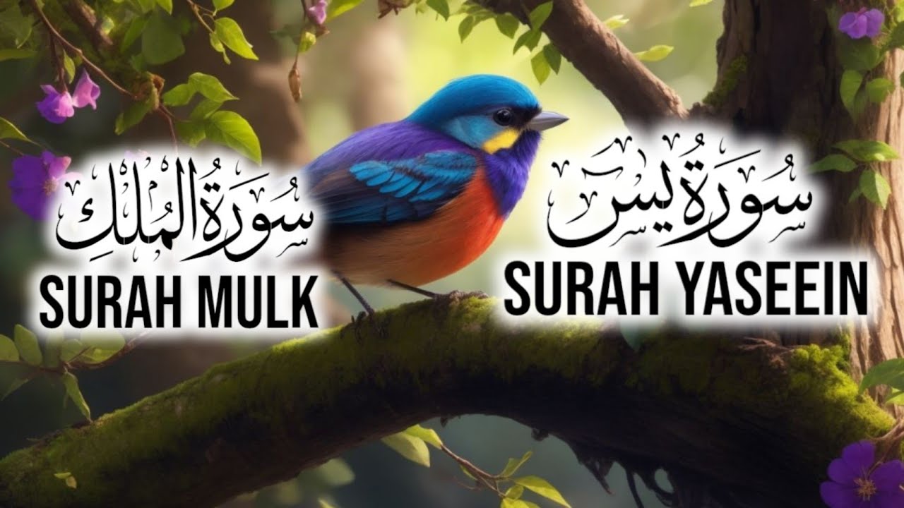 Surah Mulk (سورۃ ملک)Surah Yaseen (سورۃ یس)The Heart of the Quran Muhammad Waqas Madani