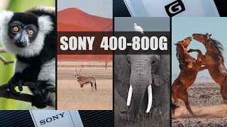 炸裂！索尼400-800遠征非洲｜半年高強度使用心得【4K HDR】