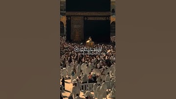 اكتب شيء تؤجر عليه🌿🤎|محمد اللحيدان🎧😴 #تلاوة_خاشعة #القارئ_محمد_اللحيدان #اجر #quran #karim_quran_1