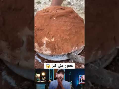 لحظة العثور على كنز نادر دويتو معلومات ضحك ترند    حيوانات