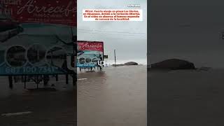 Playa Las Glorias, en #Guasave, debido a la tormenta #Norma. El famoso expendio de cerveza.