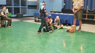 Pack 290 AOL crossover March 25, 2019