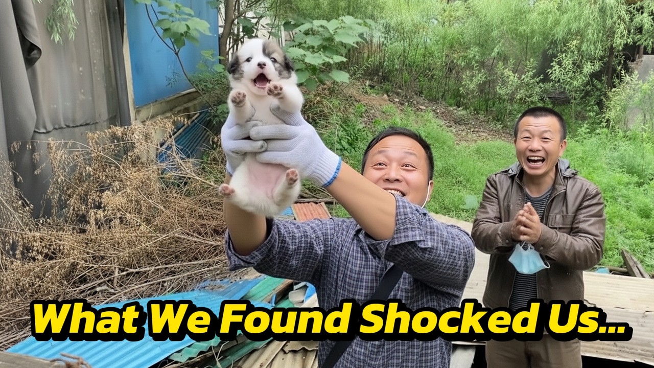 Nobody know where he was hiding But Still 