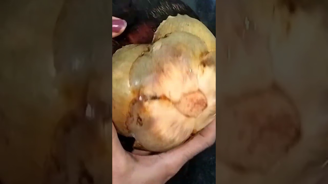 Palm fruit Recipe..how to open palm fruit 