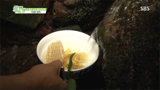 생방송 투데이 20130702 #5(3)