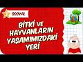 Bitki ve Hayvanların Yaşamımızdaki Yeri 📕 3. Sınıf Hayat Bilgisi #2026