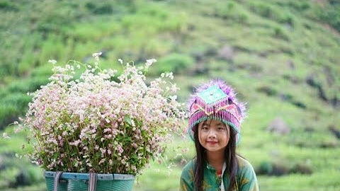 Hà giang một gốc nhỏ bình yên