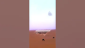 قلهم كبدي عليهم يزيد اهيامه والعيون أمن التفرق تغير نومها 