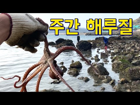 돌 밑에 <strong>모가</strong> 많네~