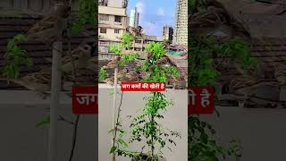 नियति भेद नहीं करती है 🙏🙏