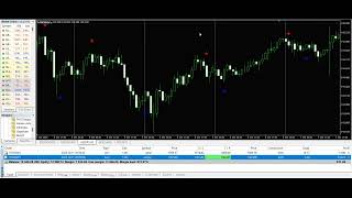 Best forex arrow indicator in live trading