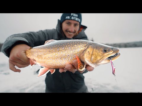 dinner bell ice fishing lure Frostbite The large Dinner Bell was planned originally to be branded as the XL Dinner Bell Want Jumbo Perch? Just add