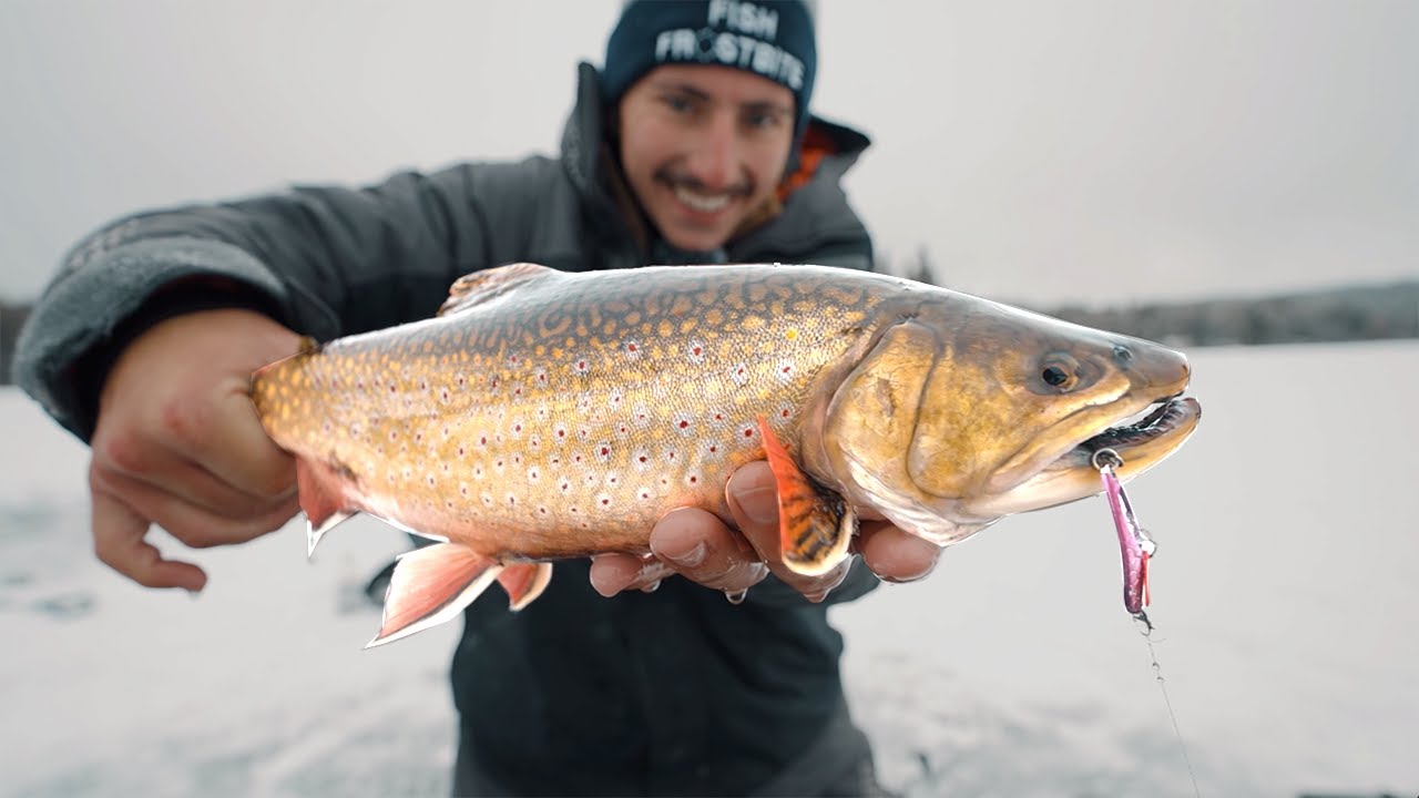 Tungsten Vs. Original Dinner Bell Ice Fishing Challenge YouTube