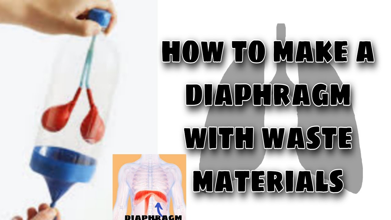 how to make a diaphragm // homemade diaphragm // made up of waste