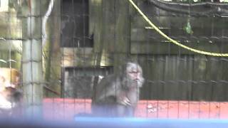 CIMG1749.AVI