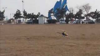 Trex500 EFL first hover