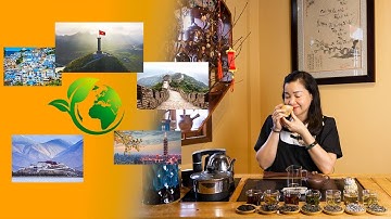 Vòng Quanh Thế Giới Qua Tách Trà - Phần 2