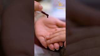 Nail Extension Art  | Trendy Nail Designs &amp; Salon Transformation #beautysalon #salon #nails #nailart