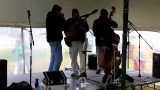 The Peterson Project "Wild Turkey Blues"