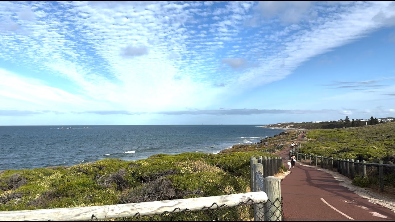 Saffas Abroad 21 January 2026